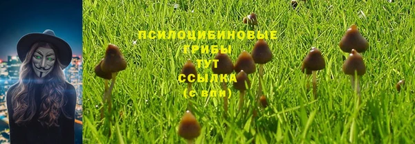 героин Бородино