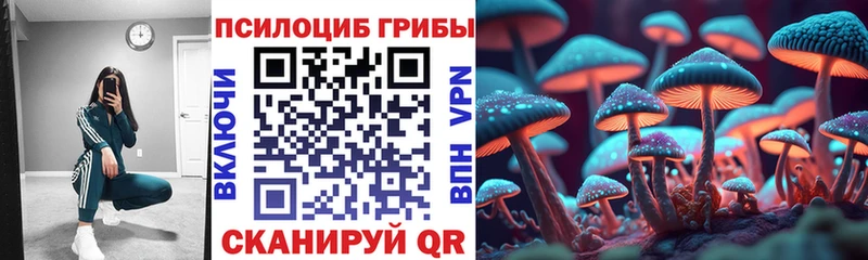 Псилоцибиновые грибы мухоморы  OMG tor  Йошкар-Ола 